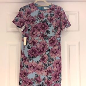 Aritzia Babaton dress